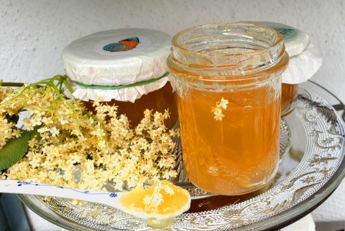 „Sweet-Gold“ Holunder-Apfelgelee mit Zitronenhonig
