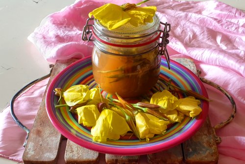 Evening primrose buds and flowers pickled sweet and sour