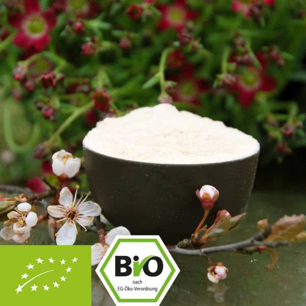 Baobab fruit powder (Bio)
