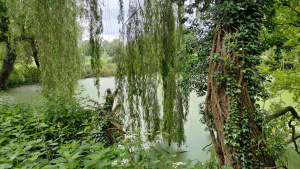 Aspermühle mill pond