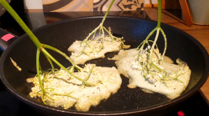 Elderflowers with batter