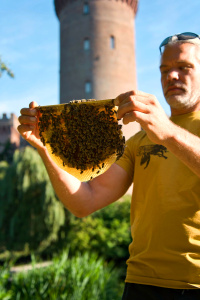 Beekeeper with honeycomb