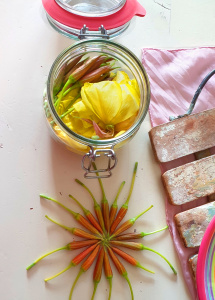 Evening primrose buds and flowers pickled sweet and sour