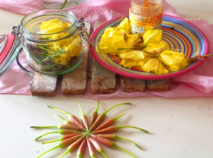 Evening primrose buds flowers and glass