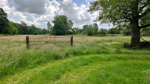 Pasture at the Aspermühle