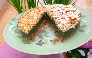 Spirulina coconut cake