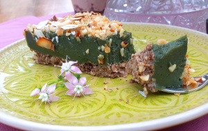 Spirulina cake piece