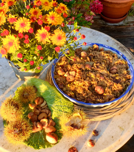 Savoy cabbage and chestnut vegetables on sweet potatoes