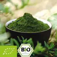 Bio Gerstengrassaft Pulver - 100% Gerstengrassaftpulver ohne Zusätze Bild 1