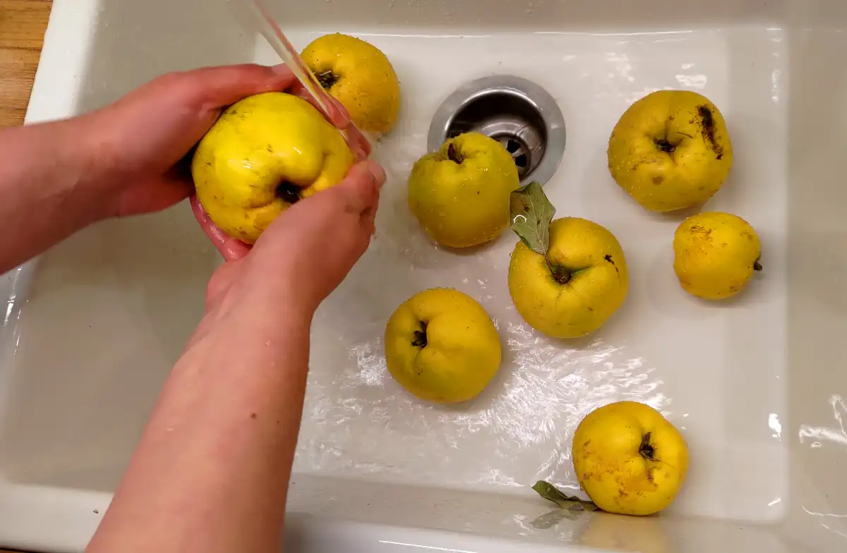 Washing quinces