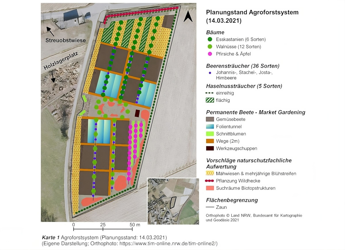 Grafik Planungsstand Agroforstsystem